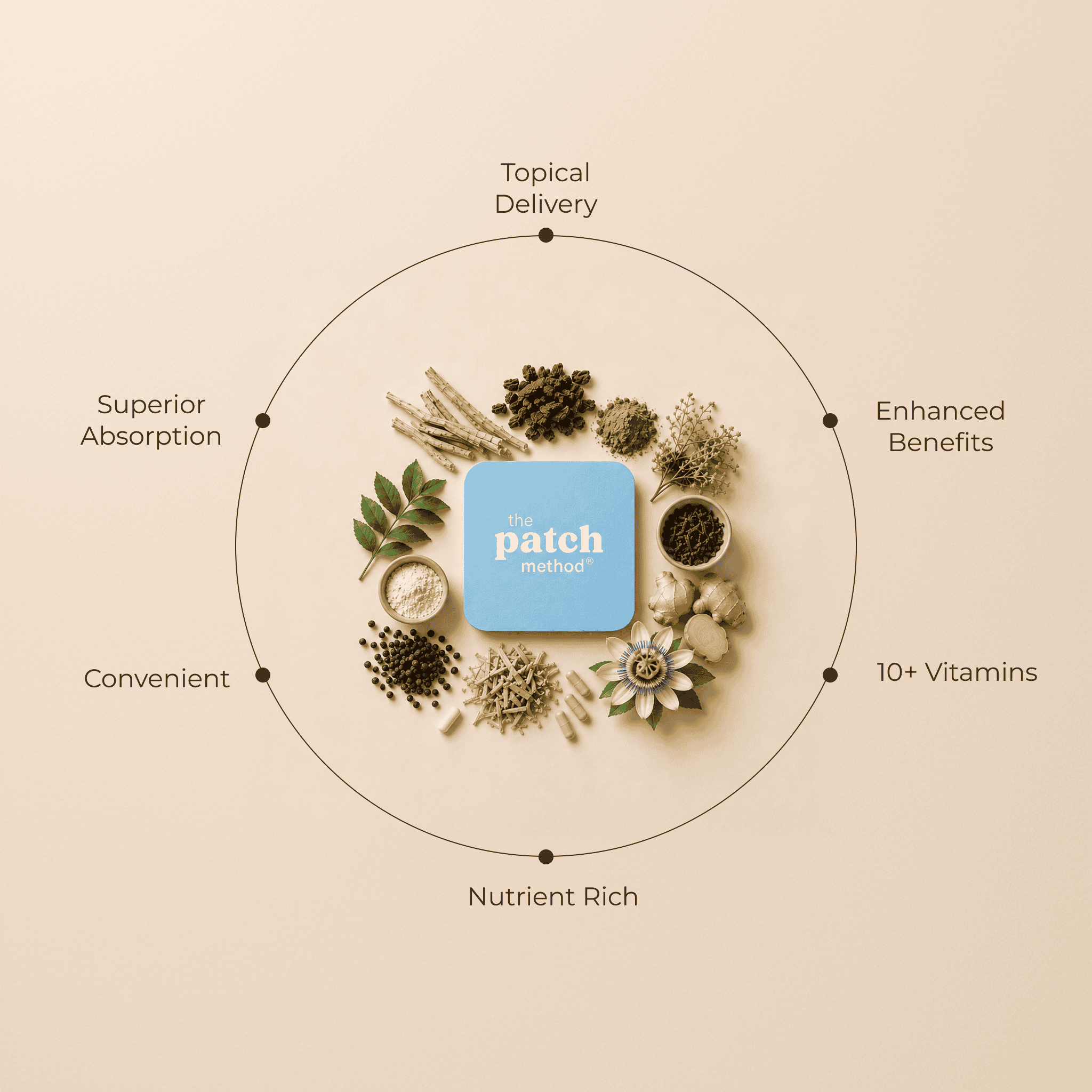 Supplement Facts label for the Cortisol Fix patch listing Ashwagandha, Rhodiola, L-Theanine, Magnesium Glycinate, GABA, Black Pepper Extract, and other ingredients per patch serving