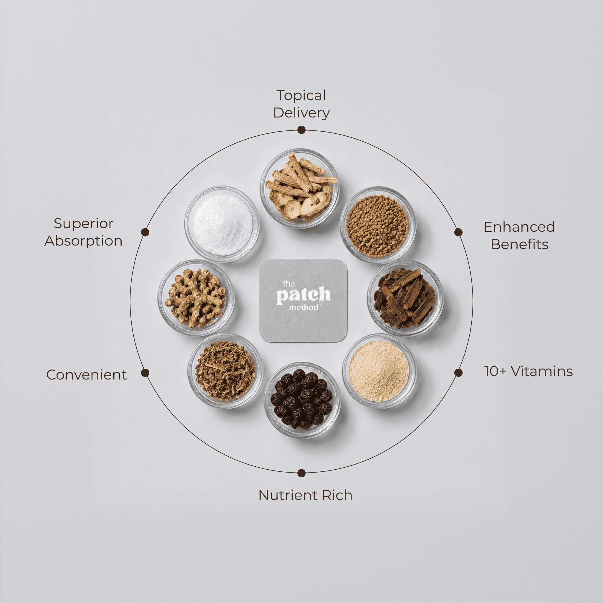 Ingredient wheel showing roots, powders, and botanicals arranged around a Patch Method logo tile, labeled Topical Delivery, Enhanced Benefits, 10+ Vitamins, Nutrient Rich, Convenient, and Superior Absorption