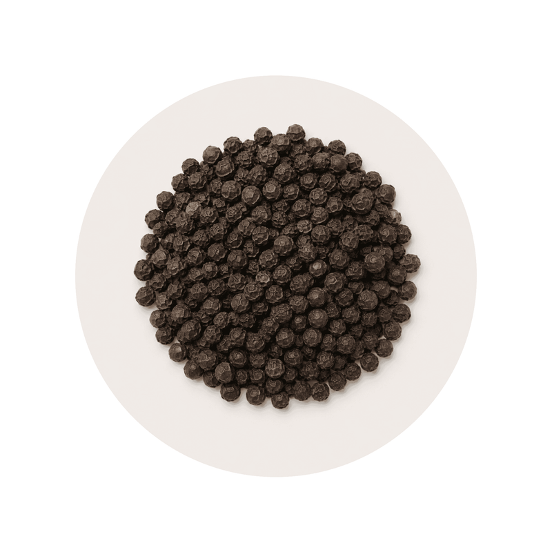 Black Pepper Extract ingredient close-up on a cream circular background
