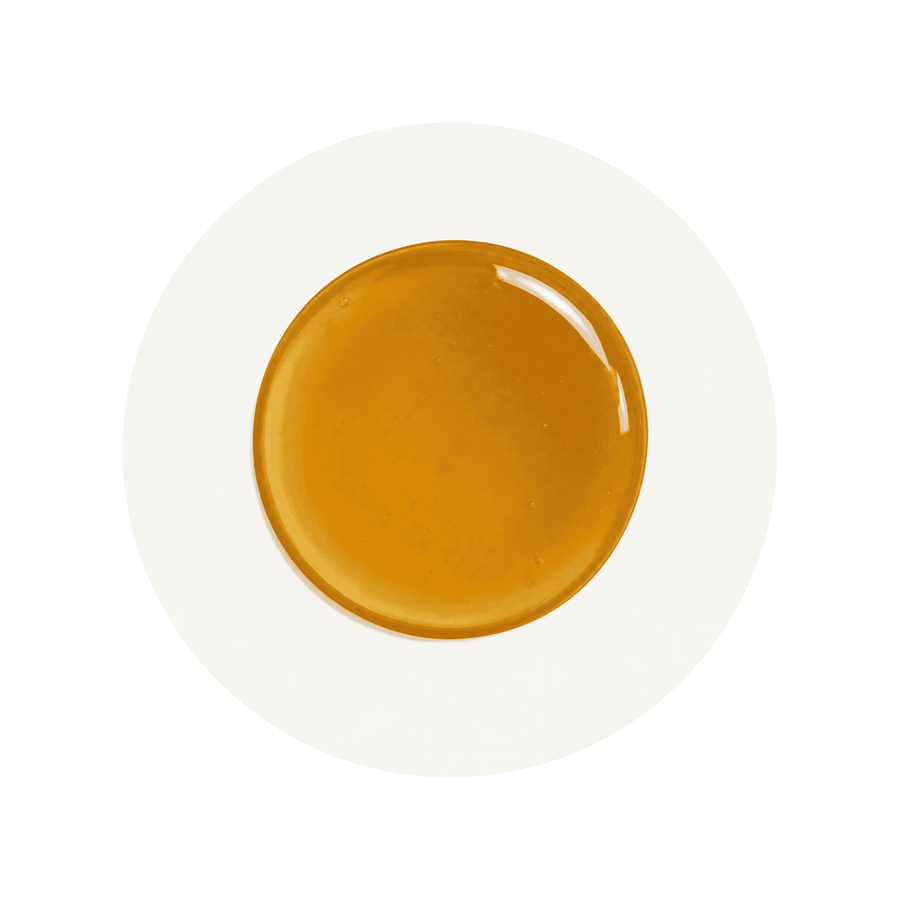 Ashwagandha Root Extract ingredient close-up on a cream circular background