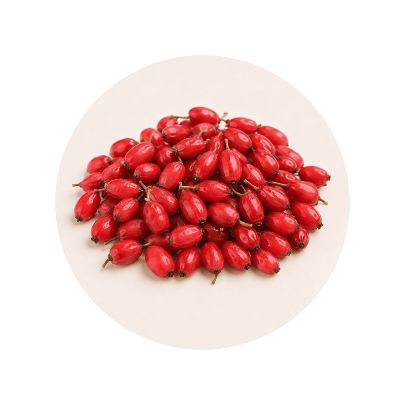 Berberine (Barberry) ingredient close-up on a cream circular background