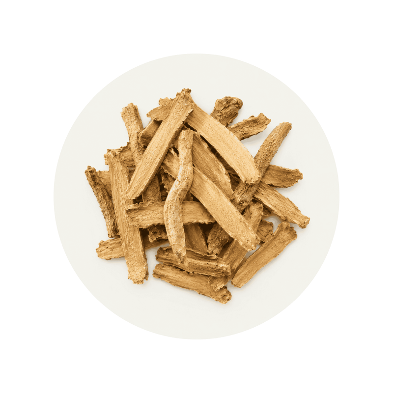Tongkat Ali root ingredient close-up on a cream circular background