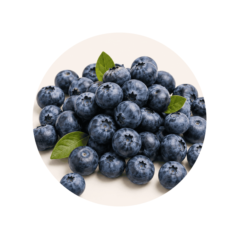 Pterostilbene ingredient close-up on a cream circular background