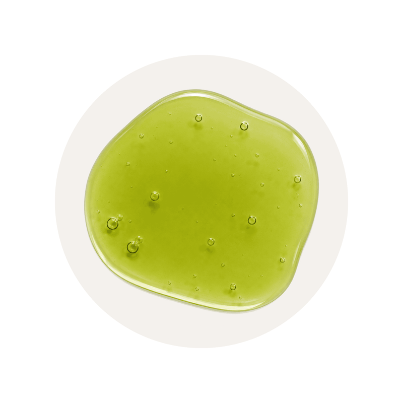 Green Tea Extract (EGCG) ingredient close-up on a cream circular background