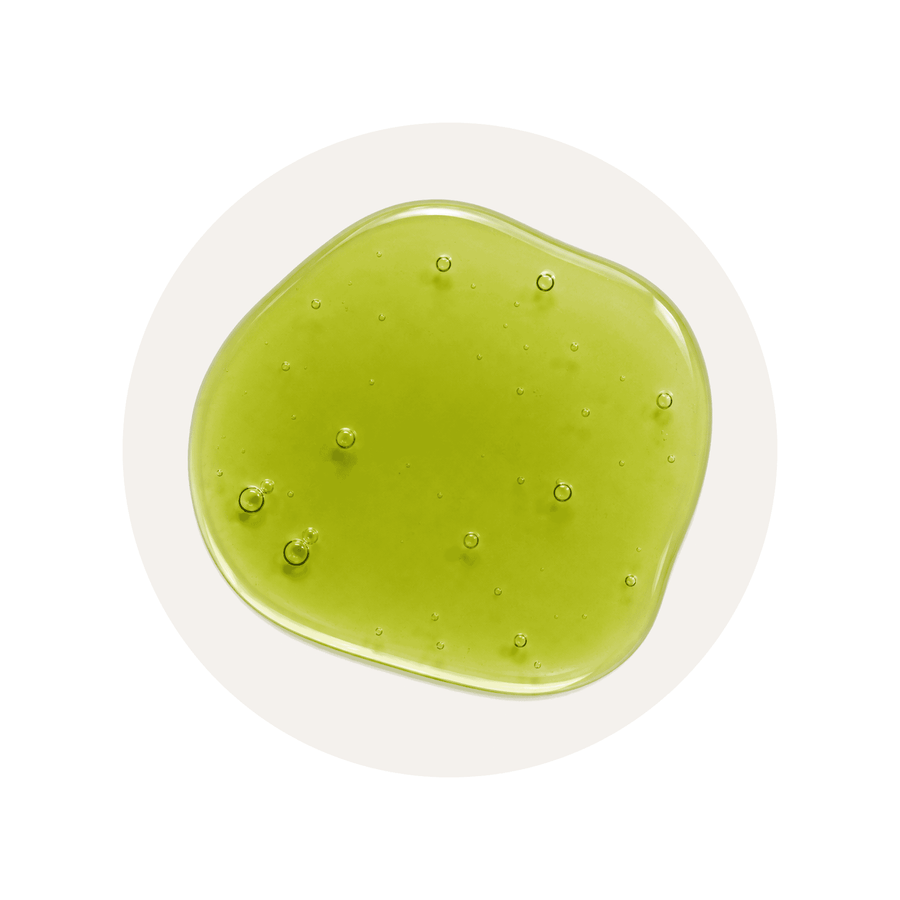 Green Tea Extract (EGCG) ingredient close-up on a cream circular background