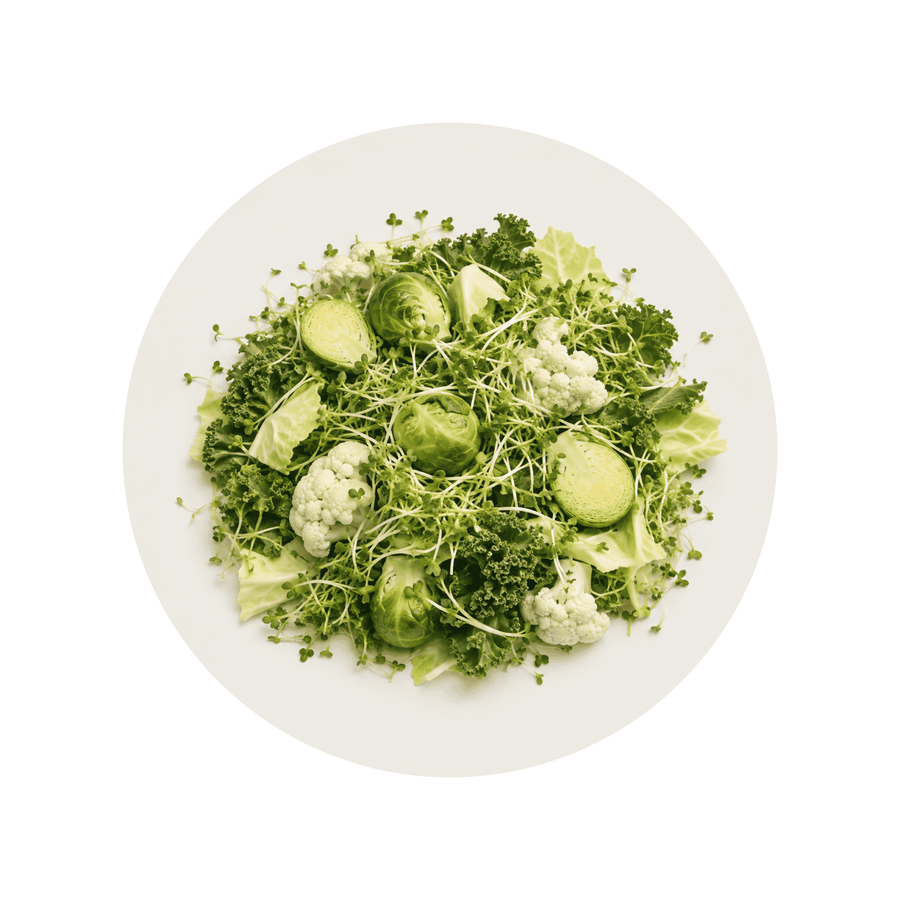 Sulforaphane ingredient close-up on a cream circular background