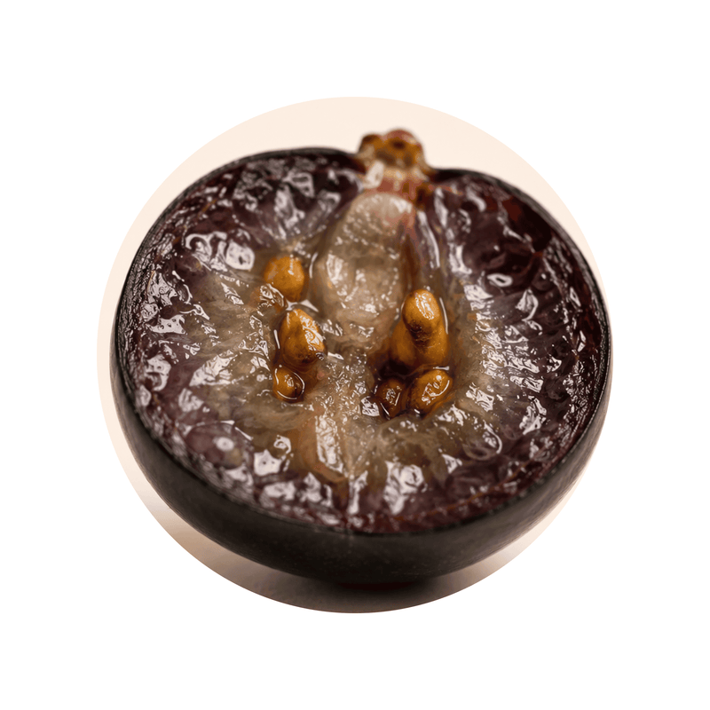 Black Elderberry Extract ingredient close-up on a cream circular background