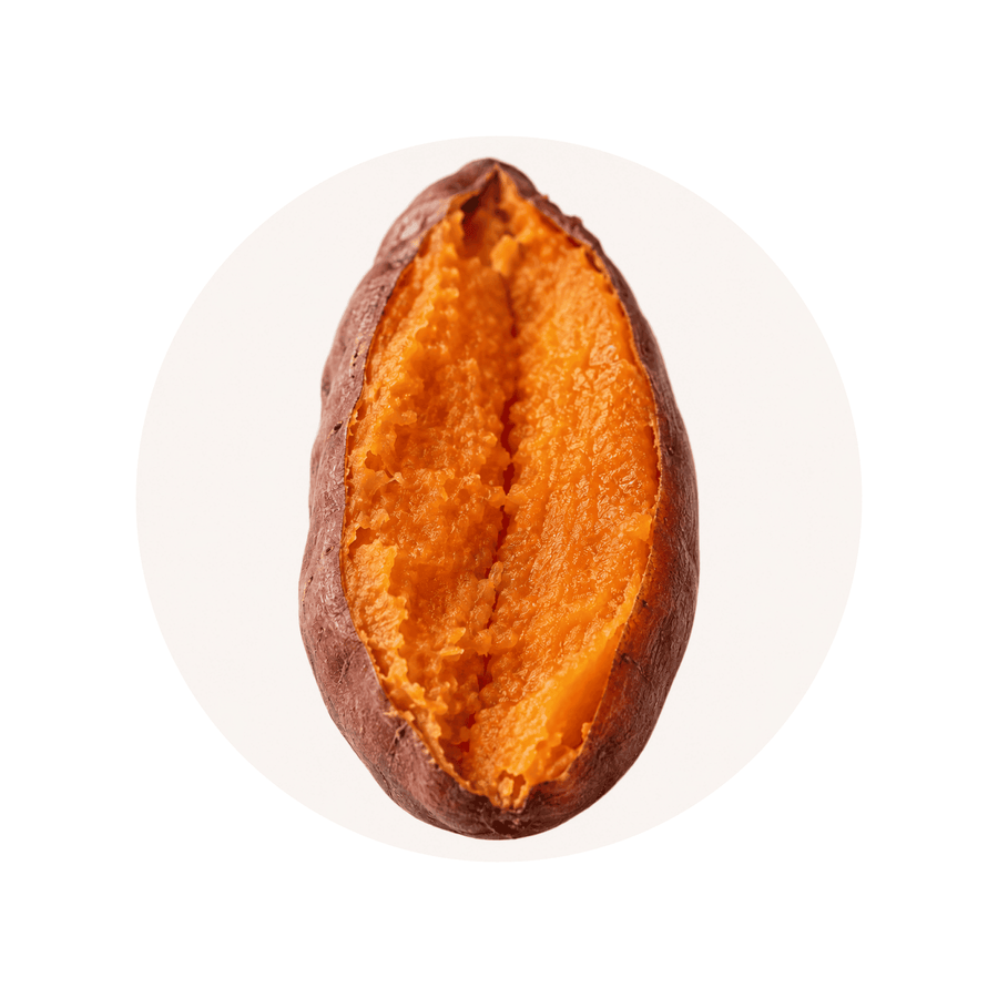 Vitamin A ingredient close-up on a cream circular background