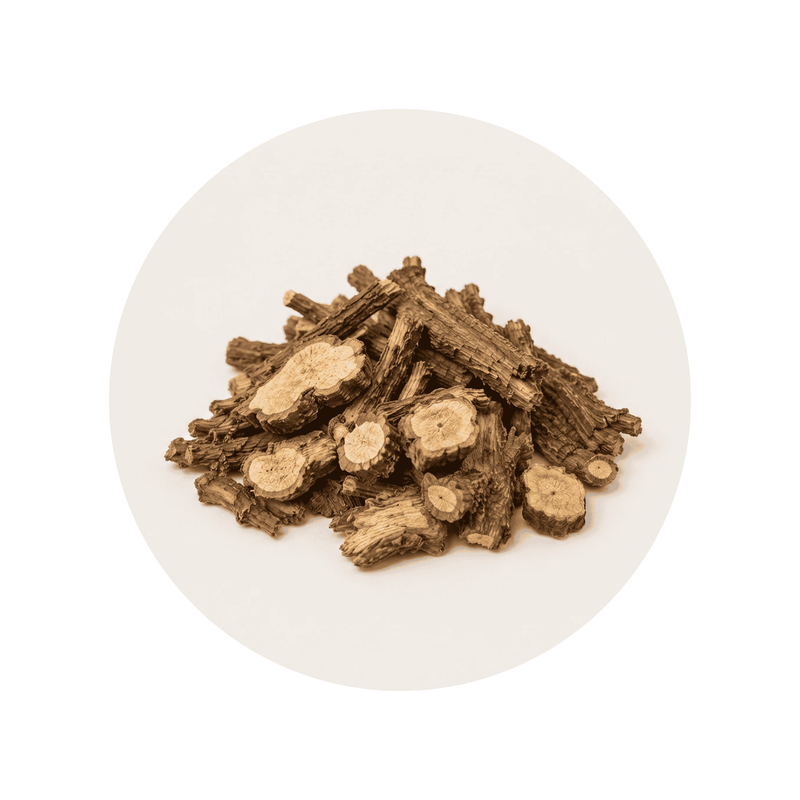 Forskolin ingredient close-up on a cream circular background