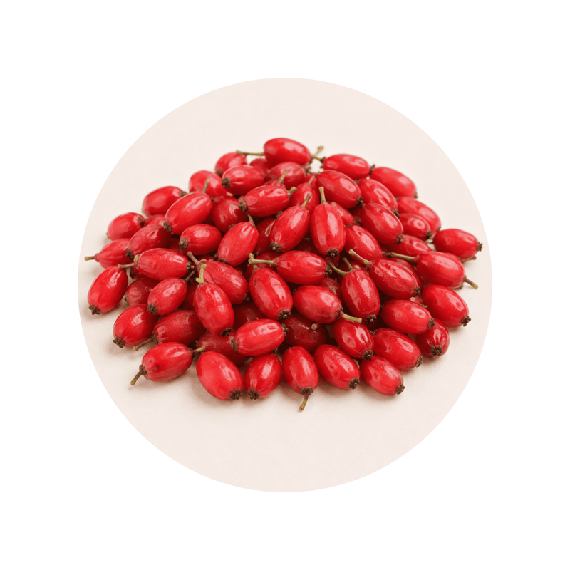 Berberine ingredient close-up on a cream circular background