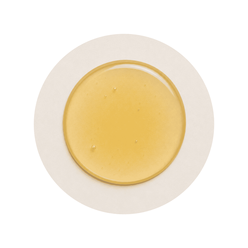 Ginger Extract ingredient close-up on a cream circular background