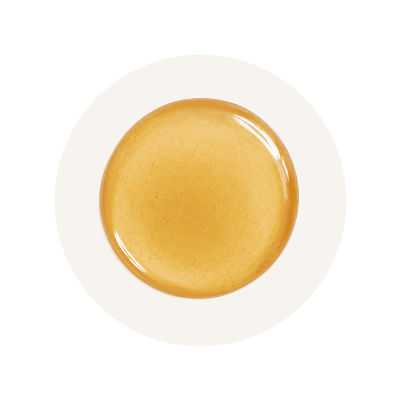 Ginger Root Extract ingredient close-up on a cream circular background