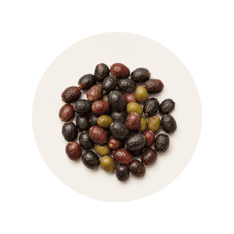 Saw Palmetto ingredient close-up on a cream circular background