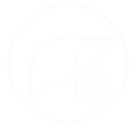 Liver Support