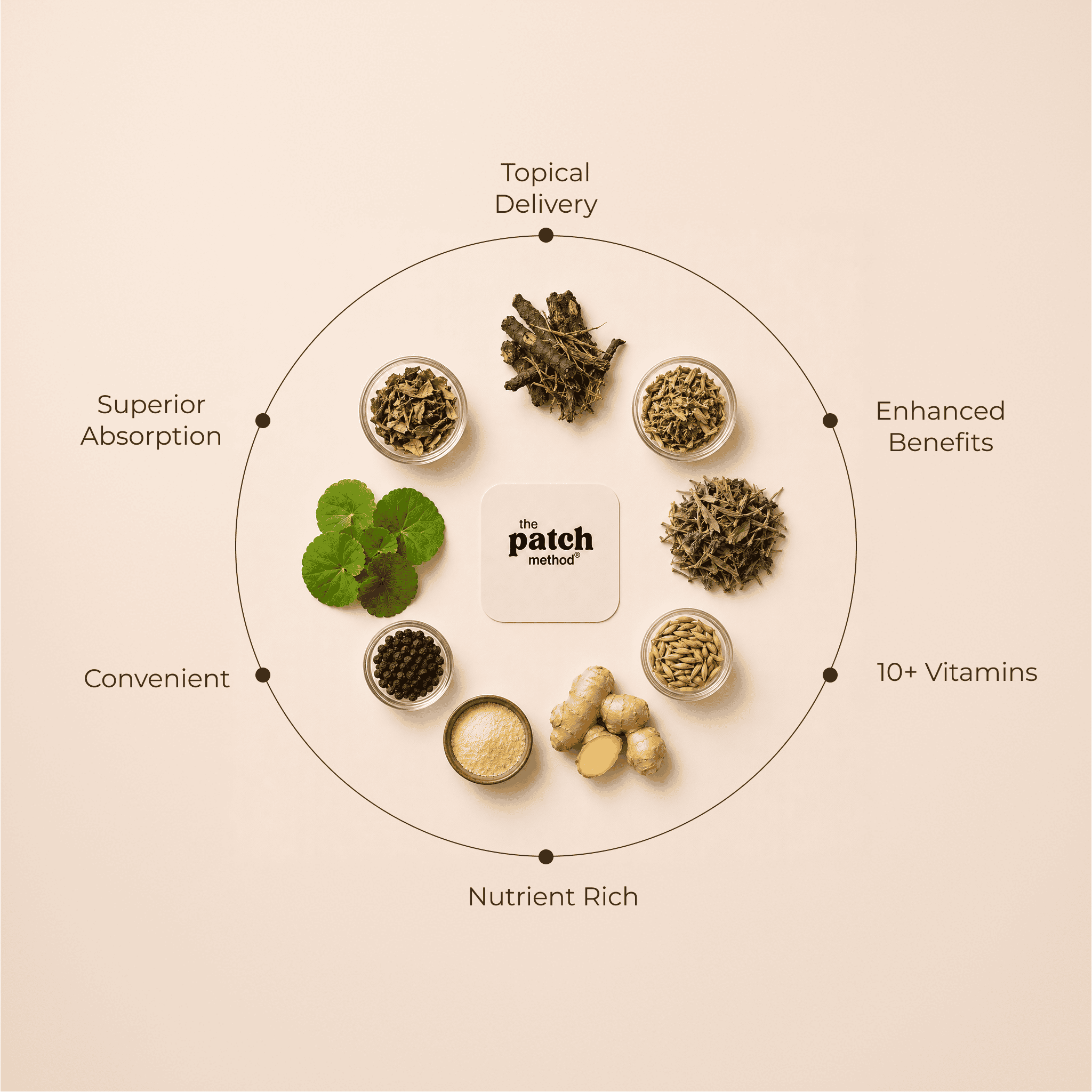 Ingredient wheel showing dried herbs and botanicals arranged around a Patch Method logo tile, labeled Topical Delivery, Enhanced Benefits, 10+ Vitamins, Nutrient Rich, Convenient, and Superior Absorption