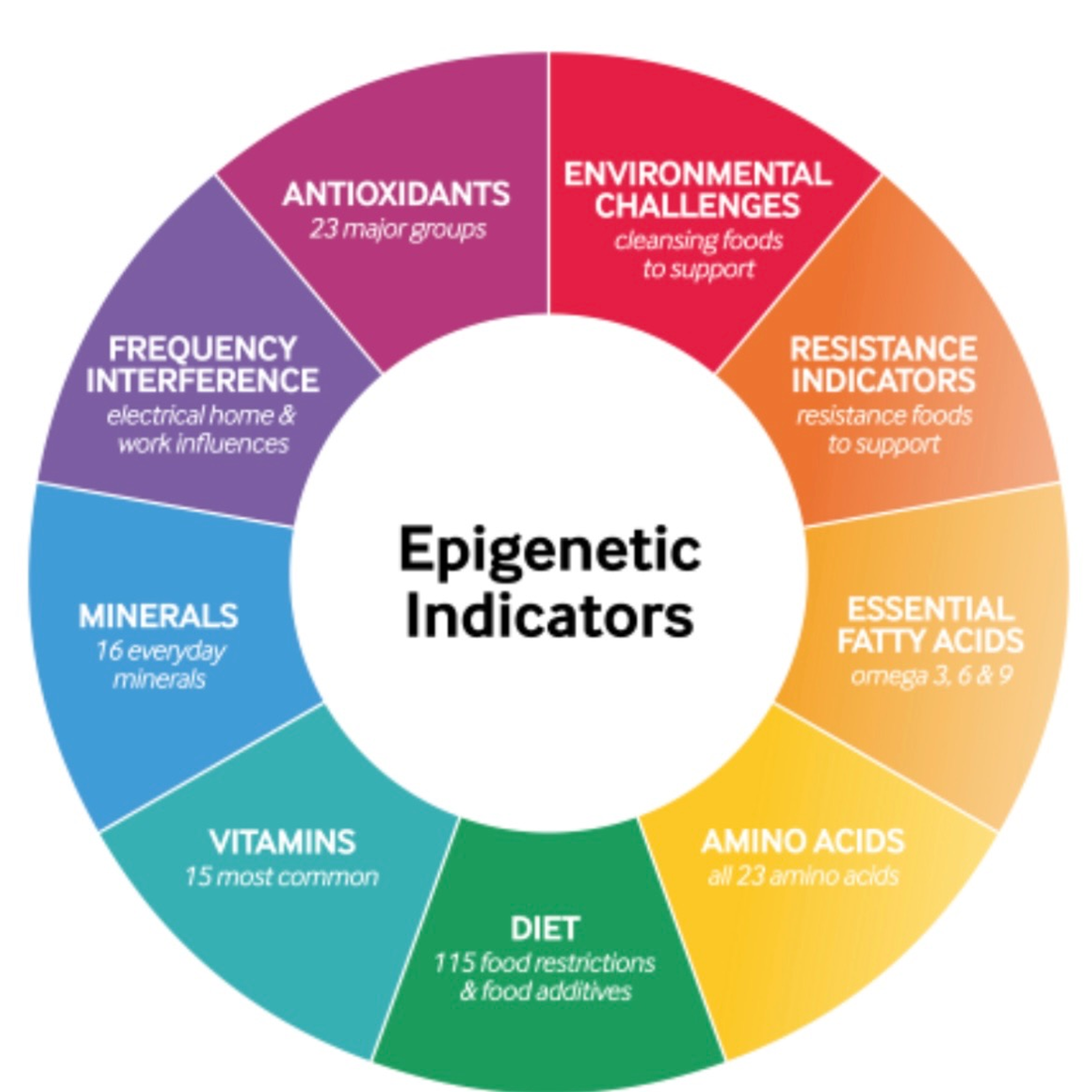 The Lab by The Patch Method epigenetic indicators wheel showing antioxidants, environmental challenges, fatty acids, amino acids, diet, vitamins, minerals, and other wellness indicators.