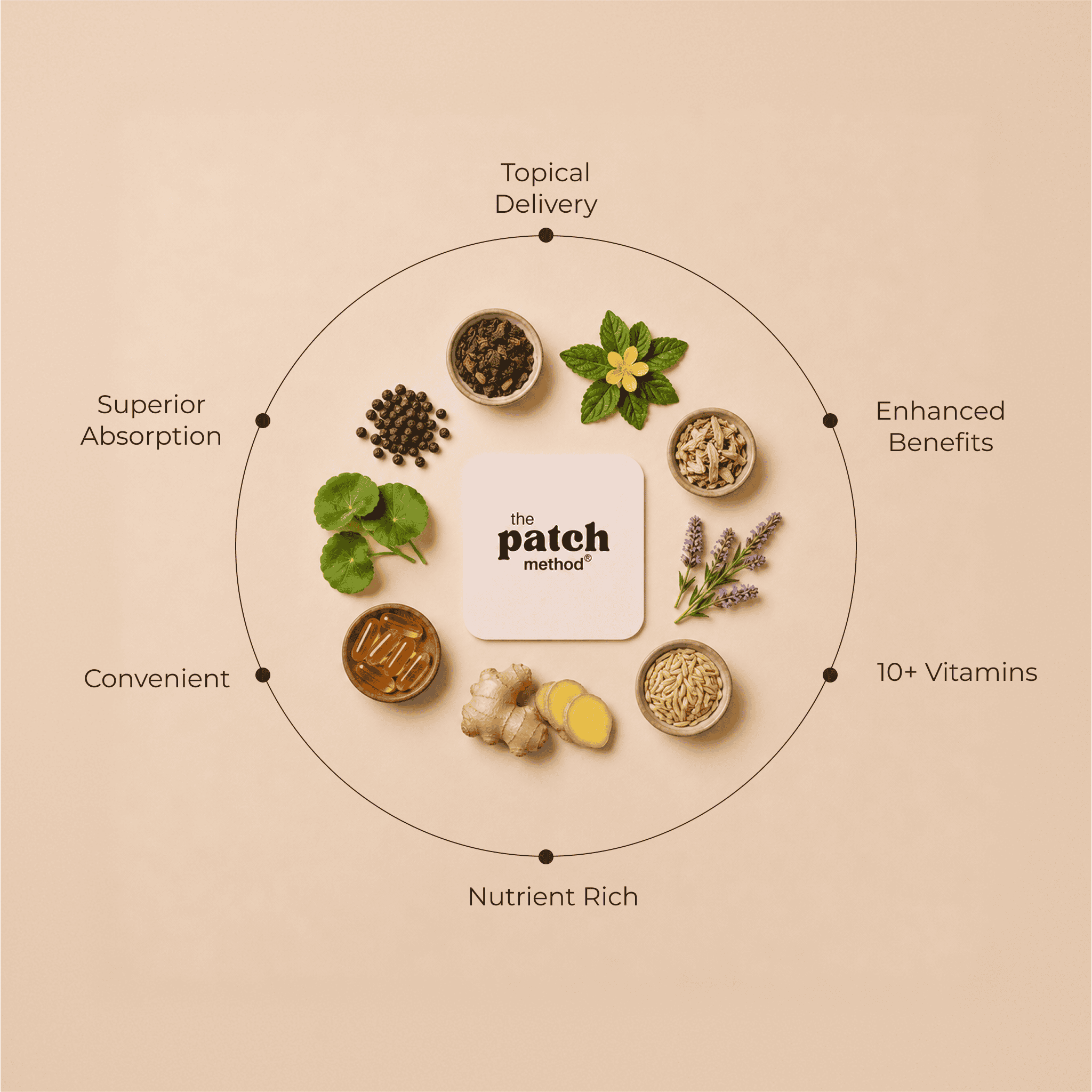 Ingredient wheel showing dried herbs, lavender, and capsules arranged around a Patch Method logo tile, labeled Topical Delivery, Enhanced Benefits, 10+ Vitamins, Nutrient Rich, Convenient, and Superior Absorption