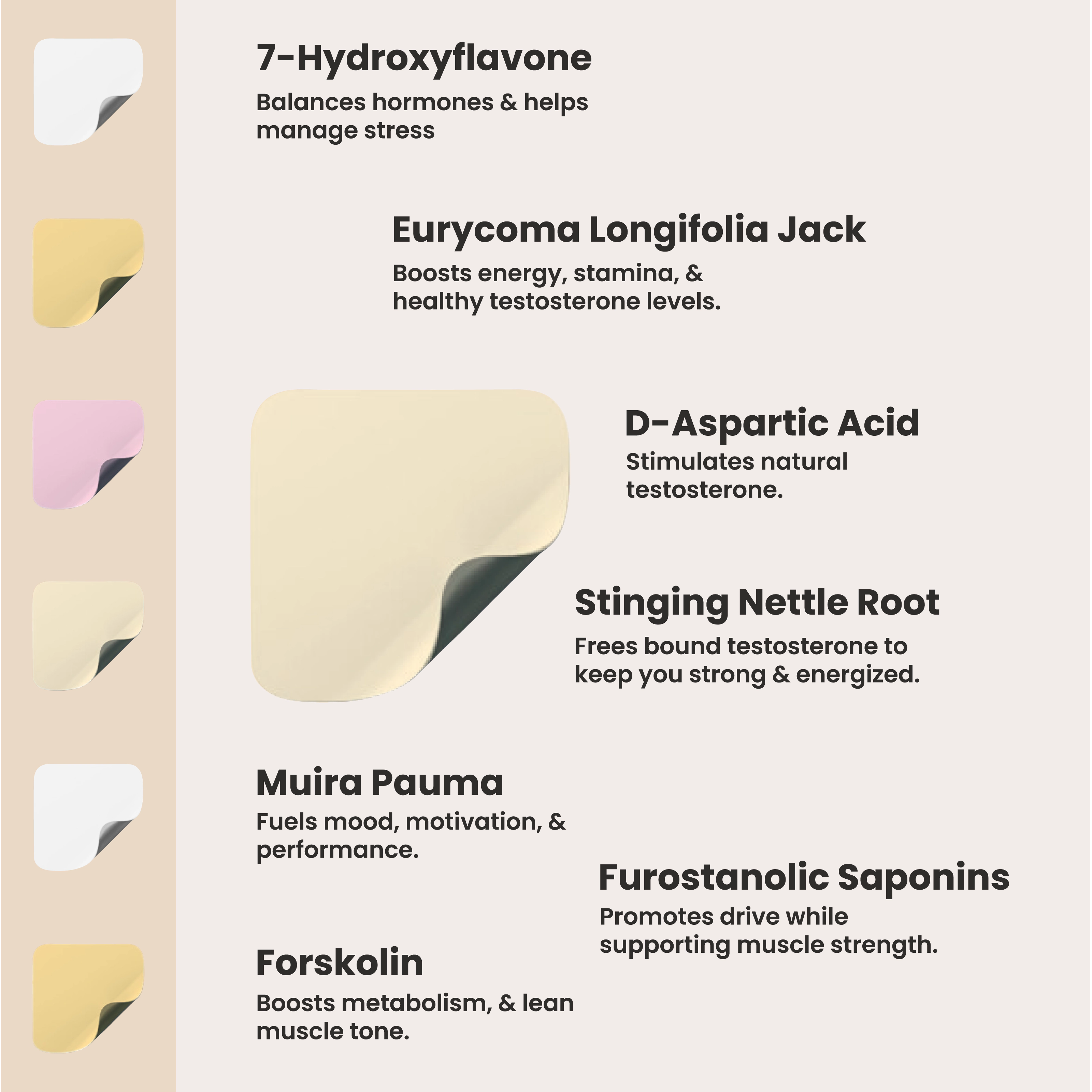 The Testosterone Patch